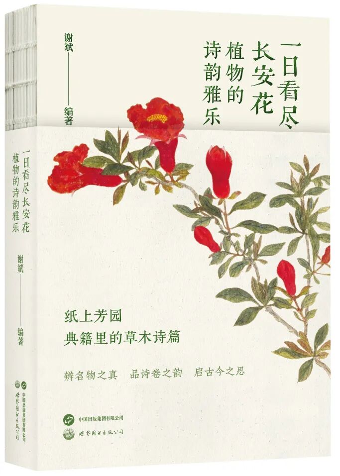 一日看尽长安花:植物的诗韵雅乐